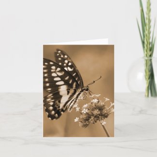 Sepia Butterfly Greeting Card