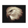 Sepia Color Bald Eagle Post Card