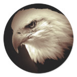 Sepia Color Bald Eagle stickers
