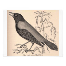 Sepia Crow Personalized Invite