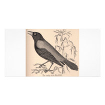 Sepia Crow Custom Photo Card