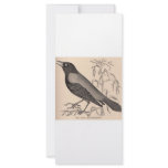 Sepia Crow Full Color Rack Card