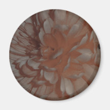 sepia crysanthamum fridge magnet