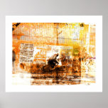 Sepia cyclist. posters