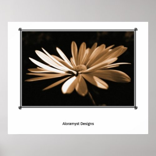 Sepia Daisy print