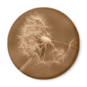 Sepia Dandelion Magnet by AmaJones Sepia Dandelion Magnet