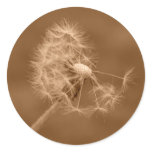 Sepia Dandelion Sticker