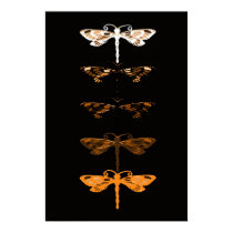 Sepia dragons posters