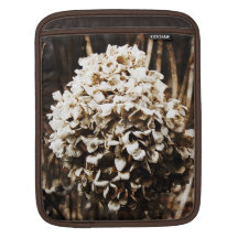 sepia dried hydrangea iPad sleeve