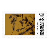Sepia Fir postage