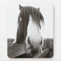 Sepia Horse Portrait Mousepad by SnapiKat Sepia Horse Portrait Mousepad