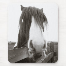 Sepia Horse Portrait Mousepad