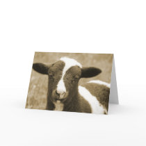 Sepia Jacob Lamb Birthday Greeting Card