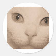 sepia kitty face round sticker
