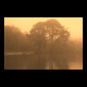 sepia lake posters