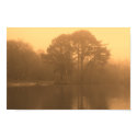 sepia lake posters