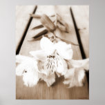 Sepia Lily Poster