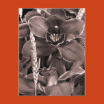 postcard, postage, flower, flowers, orchid,