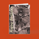 happy, birthday, template, card, postage, mail,