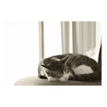 sepia oscar sleeping posters
