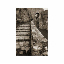 Sepia Picture Of Steps In Spis Castle In Slovakia photo sculptures
