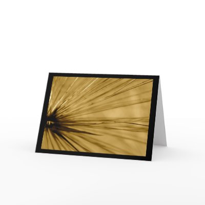 Sepia Ray of Grass Card by pulsDesign