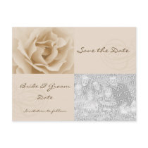 Sepia Rose - Photo Postcard - Customized