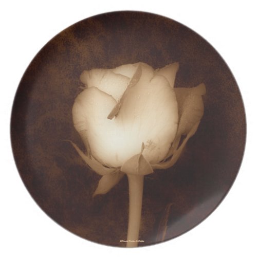 Sepia Rose Plate fuji_plate