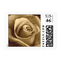 Sepia Rose Postage Stamps