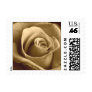 Sepia Rose Postage Stamps