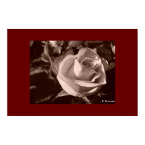 Sepia Rose posters by jiswynn Sepia Rose posters