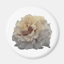 sepia rose refrigerator magnets