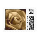 Sepia Rose - Small Stamp by slantedeyes Sepia Rose - Small Stamp