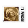 Sepia Rose - Small Stamp