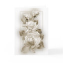 Sepia Roses cards