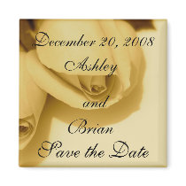 Sepia Roses Magnet