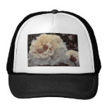 sepia roses trucker hats