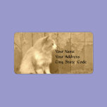 Sepia Sahara (cat) Address labels