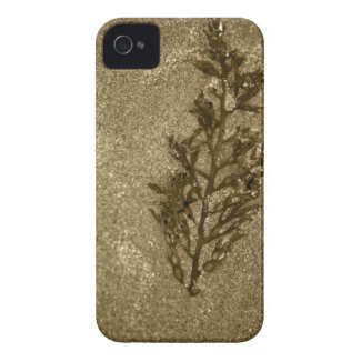 Sepia Sandy Beach Textures iPhone 4 Covers