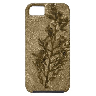 Sepia Sandy Beach Textures iPhone 5 Case
