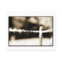 Sepia Singled out Barb on Fence  Canvas Wrap Stretched Canvas Print