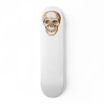 Sepia Skull on Skateboard
