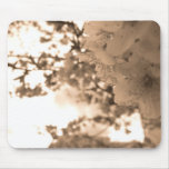 Sepia Spring Mousepads
