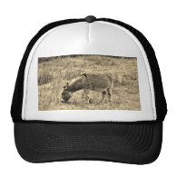 Sepia Tone Donkey  in a Field. Mesh Hats