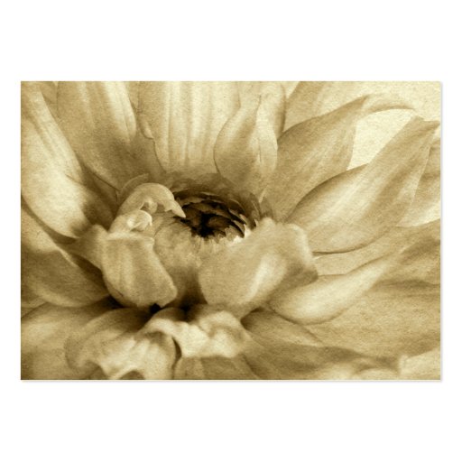 Sepia White & Cream Dahlia Background Customized Business Card (front side)