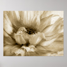 Sepia White & Cream Dahlia Background Customized Print