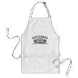 September 11 - 2011 Anniversary Apron