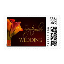 September Calla Lily Wedding Postage stamps