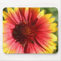 September Gaillardia mousepads