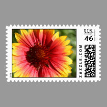 September Gaillardia postage